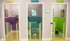 Pet-Hotel
